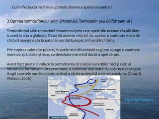 Cum afectează încălzirea globală dinamica apelor oceanice ?
3.Oprirea termosifonului salin (Motorului Termosalin sau GolfStream-ul )
Termosifonul salin reprezintă fenomenul prin care apele din oceane circulă dintro zonă în alta a globului. Datorită acestor mișcări ale apelor, o cantitate mare de
căldură ajunge de la Ecuator în nordul Europei, influențând clima.
Prin topirea calotelor polare, în apele reci din această regiune ajunge o cantitate
mare de apă dulce și rece, cu densitate mai mică decât a apei sărate.
Acest fapt poate conduce la perturbarea circulației curenților reci și calzi ai
Motorului Termosalin. Drept urmare, o cantitate mai mare de apă rece va stagna
lângă coastele nordice determinând o răcire puternică a climei acestora. (Gitay &
Watson, 2006)

Fig 6 GolfStream

 