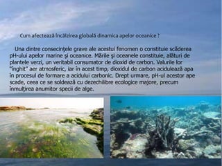 Cum afectează încălzirea globală dinamica apelor oceanice ?
Una dintre consecinţele grave ale acestui fenomen o constituie scăderea
pH-ului apelor marine şi oceanice. Mările şi oceanele constituie, alături de
plantele verzi, un veritabil consumator de dioxid de carbon. Valurile lor
“înghit” aer atmosferic, iar în acest timp, dioxidul de carbon acidulează apa
în procesul de formare a acidului carbonic. Drept urmare, pH-ul acestor ape
scade, ceea ce se soldează cu dezechilibre ecologice majore, precum
înmulţirea anumitor specii de alge.

 