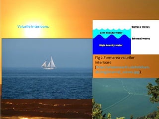 Valurile interioare.

Fig 2.Formarea valurilor
interioare
(http://whatonearth.olehnielsen.
dk/img/internal_waves.jpg)

 