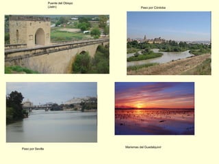 Paso por Córdoba Puente del Obispo (Jaén) Paso por Sevilla Marismas del Guadalquivir 