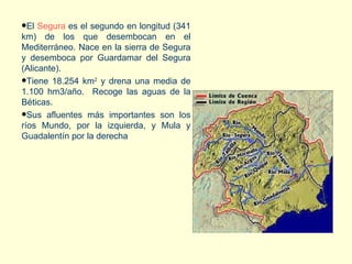 El  Segura  es el segundo en longitud (341 km) de los que desembocan en el Mediterráneo. Nace en la sierra de Segura y desemboca por Guardamar del Segura (Alicante).  Tiene 18.254 km 2  y drena una media de 1.100 hm3/año.  Recoge las aguas de la Béticas.  Sus afluentes más importantes son los ríos Mundo, por la izquierda, y Mula y Guadalentín por la derecha 