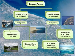 Tipos de Costas
Costas altas o
de Inmersión
Costas bajas o
de Emersión
•Los acantilados
•Los estuarios
•Los Polders
•Los Lidios
•Los Albuferas
• Los Fiordos
• Las Rías
•Los deltas
•Los Halffen
•Las Coralinas
Por Ejemplo: Por Ejemplo:
 