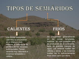 CALIENTES FRIOS
Los climas semiáridos
calientes se encuentran
en el trópico o sub-
trópicos, a menudo en la
periferia de los desiertos
subtropicales. Tienen
veranos muy calurosos e
inviernos templados o
cálidos.
Se encuentran generalmente
en las zonas templadas.
Además, es más probable que
se produzcan en el continente,
lejos de grandes cuerpos de
agua. Los veranos suelen ser
cálidos y secos, y los inviernos
suelen ser lo suficientemente
fríos como para que nieve..
 
