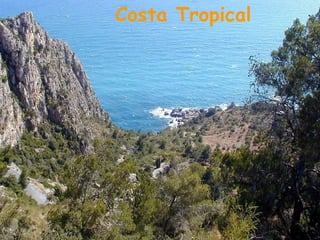 Costa Tropical
 