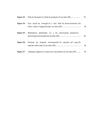 Figura 33 –

Poda de formação (1), Poda de produção (2) em Jales (SP)......................

Figura 34 –

Fase inicial de

brotação (1) e fase final de desenvolvimento dos

frutos, videira ‘Niagara Rosada’ em Jales (SP)..........................................

Figura 35 – Manômetros

danificados

Sistemas de

96

(1) e (2); pulverização manual (3);

pulverização mecanizada (4) em Jales (SP)...............................................

Figura 36–

95

96

irrigação, microaspersão (1); aspersão sub copa (2);

aspersão sobre copa (3) em Jales (SP).......................................................

Figura 37 –

96

Adubação orgânica (1); entrevista com produtor (2) em Jales (SP)..........

96

 