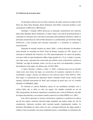 28

2.2 Cultivares de uvas para mesa

Os principais cultivares de uvas finas comerciais da região noroeste do estado de São
Paulo são: Itália, Rubi, Benitaka, Brasil, Redimeire, Red Globe, Centennial Seedless e mais
recentemente as BRS Clara e BRS Morena.
Nachtigal e Camargo (2005) descrevem as principais características dos cultivares
Itália, Rubi, Benitaka, Brasil e Redimeire. A videira ‘Itália’ é um cultivar de película branca, é
a principal uva fina para mesa cultivada nos principais pólos produtores brasileiros. Dentre as
principais características do cultivar Itália destacam-se a produtividade, que facilmente atinge
30t/ha/ciclo, a boa aceitação pelo mercado consumidor e a resistência ao transporte e
armazenamento.
Originado de mutação somática na videira ‘Itália’, o cultivar Benitaka, foi descoberto
numa fazenda, no município de Floraí, Norte do Paraná. Lançada em 1991, passou a ser
cultivado no Submédio São Francisco, em 1994, aproximadamente. Os cachos são grandes,
com peso médio de aproximadamente 400g e bagas grandes (8 a 12 g). A polpa é crocante,
com sabor neutro. Apresenta boa conservação pós-colheita. Estas características conferem à
‘Benitaka’ um lugar de destaque, sendo a uva de cor que mais vem despertando o interesse
dos produtores nesta região, nos últimos anos (LEÃO, 2004).
A videira ‘Benitaka’ é idêntica a ‘Itália’ e à ‘Rubi’; a diferença única está na coloração
rosada muito mais intensa das bagas, sua característica de vegetação, exigências de cultivo e
sensibilidade a pragas e doenças são idênticas às dos cultivares Itália e Rubi (SOUSA, 1996).

Seus bagos se caracterizam por apresentar intensa coloração rosada escura, mesmo ainda
imaturas, diferindo basicamente da ‘Rubi’ pela coloração do pincel que é de cor vermelha
(MANICA E POMMER, 2006).
No referente ao cultivar Redimeire, apesar de sua semelhança fenotípica com o
cultivar Itália, não se sabia ao certo sua origem. Em trabalho concluído no ano de
2001, pesquisadores do Instituto Agronômico constataram que o cultivar Redimeire, até então
de origem desconhecida, é um mutante somático natural da uva Itália (PIRES et al., 2001).
Este cultivar apresenta as mesmas características vegetativas e produtivas do cultivar
que lhe deu origem, entretanto apresenta bagas alongadas, que podem atingir até 7cm de
comprimento. Apresenta excelente sabor moscatel quando completamente madura. As
principais dificuldades de cultivo desta uva são a coloração deficiente das bagas quando a
colheita é feita em períodos com pouca amplitude térmica e sensibilidade ao rachamento das

 
