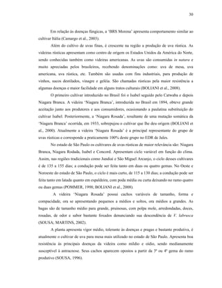 30

Em relação às doenças fúngicas, a ‘BRS Morena’ apresenta comportamento similar ao
cultivar Itália (Camargo et al., 2003).
Além do cultivo de uvas finas, é crescente na região a produção de uva rústica. As
videiras rústicas apresentam como centro de origem os Estados Unidos da América do Norte,
sendo conhecidas também como videiras americanas. As uvas são consumidas in natura e
muito apreciadas pelos brasileiros, recebendo denominações como: uva de mesa, uva
americana, uva rústica, etc. Também são usadas com fins industriais, para produção de
vinhos, sucos destilados, vinagre e geléia. São chamadas rústicas pela maior resistência a
algumas doenças e maior facilidade em alguns tratos culturais (BOLIANI et al., 2008).
O primeiro cultivar introduzido no Brasil foi o Isabel seguido pelo Catwaba e depois
Niagara Branca. A videira ‘Niagara Branca’, introduzida no Brasil em 1894, obteve grande
aceitação junto aos produtores e aos consumidores, ocasionando a paulatina substituição do
cultivar Isabel. Posteriormente, a ‘Niagara Rosada’, resultante de uma mutação somática da
‘Niagara Branca’ ocorrida, em 1933, sobrepujou o cultivar que lhe deu origem (BOLIANI et
al., 2000). Atualmente a videira ‘Niagara Rosada’ é a principal representante do grupo de
uvas rústicas e corresponde a praticamente 100% deste grupo no EDR de Jales.
No estado de São Paulo os cultivares de uvas rústicas de maior relevância são: Niagara
Branca, Niagara Rodada, Isabel e Concord. Apresentam ciclo variável em função do clima.
Assim, nas regiões tradicionais como Jundiaí e São Miguel Arcanjo, o ciclo desses cultivares
é de 135 a 155 dias; a condução pode ser feita tanto em duas ou quatro gemas. No Oeste e
Noroeste do estado de São Paulo, o ciclo é mais curto, de 115 a 130 dias; a condução pode ser
feita tanto em latada quanto em espaldeira, com poda média ou curta deixando no ramo quatro
ou duas gemas (POMMER, 1998; BOLIANI et al., 2008).
A videira ‘Niagara Rosada’ possui cachos variáveis de tamanho, forma e
compacidade, ora se apresentando pequenos a médios e soltos, ora médios a grandes. As
bagas são de tamanho médio para grande, pruinosas, com polpa mole, arredondadas, doces,
rosadas, de odor e sabor bastante foxados denunciando sua descendência de V. labrusca
(SOUSA; MARTINS, 2002).
A planta apresenta vigor médio, tolerante às doenças e pragas e bastante produtiva, é
atualmente o cultivar de uva para mesa mais utilizado no estado de São Paulo. Apresenta boa
resistência às principais doenças da videira como míldio e oídio, sendo medianamente
susceptível à antracnose. Seus cachos aparecem opostos a partir da 3ª ou 4ª gema do ramo
produtivo (SOUSA, 1996).

 