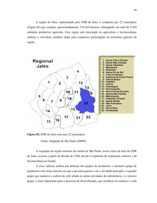 39

A região de Jales, representada pelo EDR de Jales, é composta por 22 municípios
(Figura 02) que ocupam, aproximadamente, 319 mil hectares, abrangendo um total de 9.454
unidades produtivas agrícolas. Esta região está alicerçada na agricultura e bovinocultura,
embora a viticultura também tenha uma expressiva participação na economia agrícola da
região.

Figura 02. EDR de Jales com seus 22 municípios.
Fonte: Adaptado de São Paulo (2008b).

A ocupação da região noroeste do estado de São Paulo, assim como da área do EDR
de Jales, ocorreu a partir da década de 1920, devido à expansão da exploração cafeeira e da
bovinocultura no Estado.
A crise cafeeira acabou por delinear três grupos de produtores: o primeiro grupo de
produtores com áreas maiores em que a pecuária passou a ser a atividade principal; o segundo
grupo que manteve a cultura do café aliada às outras atividades de subsistência, e o terceiro
grupo, o mais importante para o processo de diversificação, que erradicou ou manteve o café

 
