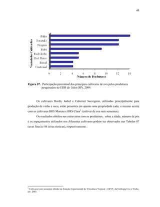 48

Figura 07. Participação percentual dos principais cultivares de uva pelos produtores
pesquisados no EDR de Jales (SP), 2009.

Os cultivares Bordô, Isabel e Cabernet Sauvignon, utilizadas principalmente para
produção de vinho e suco, estão presentes em apenas uma propriedade cada, o mesmo acorre
com os cultivares BRS Morena e BRS Clara2 (cultivar de uva sem sementes).
Os resultados obtidos nas entrevistas com os produtores, sobre a idade, número de pés
e os espaçamentos utilizados nos diferentes cultivares podem ser observados nas Tabelas 07
(uvas finas) e 08 (uvas rústicas), respectivamente.

2

Cultivares sem sementes obtidas na Estação Experimental de Viticultura Tropical – EEVT, da Embrapa Uva e Vinho,
em 2003.

 