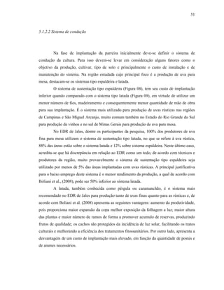 51

5.1.2.2 Sistema de condução

Na fase de implantação da parreira inicialmente deve-se definir o sistema de
condução da cultura. Para isso devem-se levar em consideração alguns fatores como o
objetivo da produção, cultivar, tipo de solo e principalmente o custo de instalação e de
manutenção do sistema. Na região estudada cujo principal foco é a produção de uva para
mesa, destacam-se os sistemas tipo espaldeira e latada.
O sistema de sustentação tipo espaldeira (Figura 08), tem seu custo de implantação
inferior quando comparado com o sistema tipo latada (Figura 09), em virtude de utilizar um
menor número de fios, madeiramento e consequentemente menor quantidade de mão de obra
para sua implantação. É o sistema mais utilizado para produção de uvas rústicas nas regiões
de Campinas e São Miguel Arcanjo, muito comum também no Estado do Rio Grande do Sul
para produção de vinhos e no sul de Minas Gerais para produção de uva para mesa.
No EDR de Jales, dentre os participantes da pesquisa, 100% dos produtores de uva
fina para mesa utilizam o sistema de sustentação tipo latada, no que se refere à uva rústica,
88% das áreas estão sobre o sistema latada e 12% sobre sistema espaldeira. Neste último caso,
acredita-se que há discrepância em relação ao EDR como um todo, de acordo com técnicos e
produtores da região, muito provavelmente o sistema de sustentação tipo espaldeira seja
utilizado por menos de 5% das áreas implantadas com uvas rústicas. A principal justificativa
para o baixo emprego deste sistema é o menor rendimento da produção, a qual de acordo com
Boliani et al., (2008), pode ser 50% inferior ao sistema latada.
A latada, também conhecida como pérgula ou caramanchão, é o sistema mais
recomendado no EDR de Jales para produção tanto de uvas finas quanto para as rústicas e, de
acordo com Boliani et al. (2008) apresenta as seguintes vantagens: aumento da produtividade,
pois proporciona maior expansão da copa melhor exposição da folhagem a luz; maior altura
das plantas e maior número de ramos de forma a promover acumulo de reservas, produzindo
frutos de qualidade; os cachos são protegidos da incidência de luz solar, facilitando os tratos
culturais e melhorando a eficiência dos tratamentos fitossanitários. Por outro lado, apresenta a
desvantagem de um custo de implantação mais elevado, em função da quantidade de postes e
de arames necessários.

 