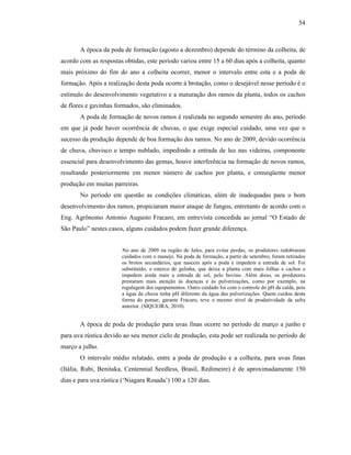 54

A época da poda de formação (agosto a dezembro) depende do término da colheita, de
acordo com as respostas obtidas, este período variou entre 15 a 60 dias após a colheita, quanto
mais próximo do fim do ano a colheita ocorrer, menor o intervalo entre esta e a poda de
formação. Após a realização desta poda ocorre à brotação, como o desejável nesse período é o
estímulo do desenvolvimento vegetativo e a maturação dos ramos da planta, todos os cachos
de flores e gavinhas formados, são eliminados.
A poda de formação de novos ramos é realizada no segundo semestre do ano, período
em que já pode haver ocorrência de chuvas, o que exige especial cuidado, uma vez que o
sucesso da produção depende de boa formação dos ramos. No ano de 2009, devido ocorrência
de chuva, chuvisco e tempo nublado, impedindo a entrada de luz nas videiras, componente
essencial para desenvolvimento das gemas, houve interferência na formação de novos ramos,
resultando posteriormente em menor número de cachos por planta, e conseqüente menor
produção em muitas parreiras.
No período em questão as condições climáticas, além de inadequadas para o bom
desenvolvimento dos ramos, propiciaram maior ataque de fungos, entretanto de acordo com o
Eng. Agrônomo Antonio Augusto Fracaro, em entrevista concedida ao jornal “O Estado de
São Paulo” nestes casos, alguns cuidados podem fazer grande diferença.
No ano de 2009 na região de Jales, para evitar perdas, os produtores redobraram
cuidados com o manejo. Na poda de formação, a partir de setembro, foram retirados
os brotos secundários, que nascem após a poda e impedem a entrada de sol. Foi
substituído, o esterco de galinha, que deixa a planta com mais folhas e cachos e
impedem ainda mais a entrada de sol, pelo bovino. Além disso, os produtores
prestaram mais atenção às doenças e às pulverizações, como por exemplo, na
regulagem dos equipamentos. Outro cuidado foi com o controle do pH da calda, pois
a água da chuva tinha pH diferente da água das pulverizações. Quem cuidou desta
forma do pomar, garante Fracaro, teve o mesmo nível de produtividade da safra
anterior. (SIQUEIRA, 2010).

A época de poda de produção para uvas finas ocorre no período de março a junho e
para uva rústica devido ao seu menor ciclo de produção, esta pode ser realizada no período de
março a julho.
O intervalo médio relatado, entre a poda de produção e a colheita, para uvas finas
(Itália, Rubi, Benitaka, Centennial Seedless, Brasil, Redimeire) é de aproximadamente 150
dias e para uva rústica (‘Niagara Rosada’) 100 a 120 dias.

 
