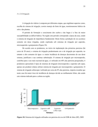 55

5.1.2.4 Irrigação

A irrigação da videira é composta por diferentes etapas, que englobam aspectos como,
escolha do sistema de irrigação, correto manejo da fonte de água, monitoramento hídrico do
solo e das plantas.
O período de formação e crescimento dos cachos e das bagas é a fase de maior
susceptibilidade ao déficit hídrico. Na região este período corresponde a época da seca, sendo
o sistema de irrigação de importância fundamental. Desta forma a produção de uva acontece
somente em áreas irrigadas, sendo explorada sob sistemas de irrigação por aspersão,
microaspersão e gotejamento (Figura 10).
De acordo com os produtores, no início da implantação das primeiras parreiras (há
cerca de 20 anos), o sistema de irrigação predominante era o de irrigação por aspersão, no
entanto o alto consumo de água e a maior incidência de doenças decorrentes do uso deste
sistema, justificam a sua contínua substituição. O sistema de irrigação por microaspersão,
contribui para o uso mais racional da água, e é utilizado em 68% das parreiras pesquisadas, 6
produtores apresentam 2 tipos de sistemas de irrigação (microaspersão e aspersão sub copa),
apenas um produtor relatou utilizar sistema de irrigação por microaspersão e gotejamento. O
sistema de irrigação sobrecopa é utilizado por cerca de 8% das parreiras, importa ressaltar que
neste caso há maior risco de incidência de doenças devido ao molhamento foliar, não sendo
este sistema indicado para a cultura na região.

Figura 10. Sistemas de irrigação utilizados em parreiras de uva do EDR de Jales (SP), 2009.

 