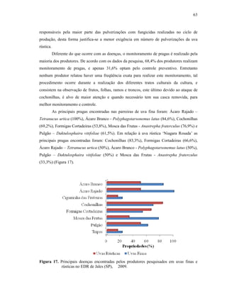63

responsáveis pela maior parte das pulverizações com fungicidas realizadas no ciclo de
produção, desta forma justifica-se a menor exigência em número de pulverizações da uva
rústica.
Diferente do que ocorre com as doenças, o monitoramento de pragas é realizado pela
maioria dos produtores. De acordo com os dados da pesquisa, 68,4% dos produtores realizam
monitoramento de pragas, e apenas 31,6% optam pelo controle preventivo. Entretanto
nenhum produtor relatou haver uma freqüência exata para realizar este monitoramento, tal
procedimento ocorre durante a realização dos diferentes tratos culturais da cultura, e
consistem na observação de frutos, folhas, ramos e troncos, este último devido ao ataque de
cochonilhas, é alvo de maior atenção e quando necessário tem sua casca removida, para
melhor monitoramento e controle.
As principais pragas encontradas nas parreiras de uva fina foram: Ácaro Rajado –
Tetranucus urtica (100%), Ácaro Branco - Polyphagotarsonemus latus (84,6%), Cochonilhas
(69,2%), Formigas Cortadeiras (53,8%), Mosca das Frutas - Anastrepha fraterculus (76,9%) e
Pulgão – Daktulosphaira vitifoliae (61,5%). Em relação à uva rústica ‘Niagara Rosada’ as
principais pragas encontradas foram: Cochonilhas (83,3%), Formigas Cortadeiras (66,6%),
Ácaro Rajado – Tetranucus urtica (50%), Ácaro Branco - Polyphagotarsonemus latus (50%),
Pulgão – Daktulosphaira vitifoliae (50%) e Mosca das Frutas - Anastrepha fraterculus
(33,3%) (Figura 17).

Figura 17. Principais doenças encontradas pelos produtores pesquisados em uvas finas e
rústicas no EDR de Jales (SP), 2009.

 