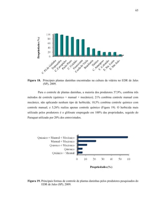 65

Figura 18. Principais plantas daninhas encontradas na cultura da videira no EDR de Jales
(SP), 2009.
Para o controle de plantas daninhas, a maioria dos produtores 57,9%, combina três
métodos de controle (químico + manual + mecânico); 21% combina controle manual com
mecânico, não aplicando nenhum tipo de herbicida; 10,5% combina controle químico com
controle manual; e 5,26% realiza apenas controle químico (Figura 19). O herbicida mais
utilizado pelos produtores é o glifosate empregado em 100% das propriedades, seguido do
Paraquat utilizado por 20% dos entrevistados.

Figura 19. Principais formas de controle de plantas daninhas pelos produtores pesquisados do
EDR de Jales (SP), 2009.

 