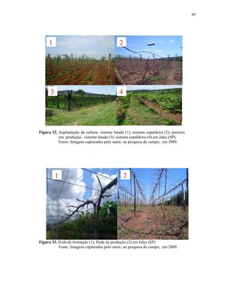 95

1

2

3

4

Figura 32. Implantação da cultura, sistema latada (1), sistema espaldeira (2); parreira
em produção, sistema latada (3); sistema espaldeira (4) em Jales (SP).
Fonte: Imagens capturadas pelo autor, na pesquisa de campo, em 2009.

1

2

Figura 33. Poda de formação (1), Poda de produção (2) em Jales (SP).
Fonte: Imagens capturadas pelo autor, na pesquisa de campo, em 2009.

 