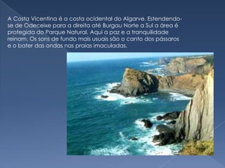 A Costa Vicentina é a costa ocidental do Algarve. Estendendo-se de Odeceixe para a direita até Burgau Norte a Sul a área é protegida do Parque Natural. Aqui a paz e a tranquilidade reinam. Os sons de fundo mais usuais são o canto dos pássaros e o bater das ondas nas praias imaculadas.
