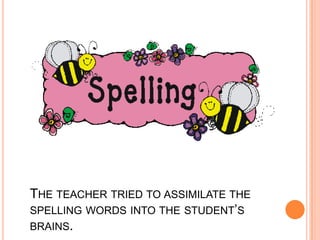 The teacher tried to assimilate the spelling words into the student’s brains. 