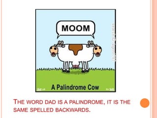 The word dad is a palindrome, it is the same spelled backwards.