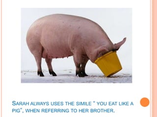 Sarah always uses the simile “ you eat like a pig”, when referring to her brother.