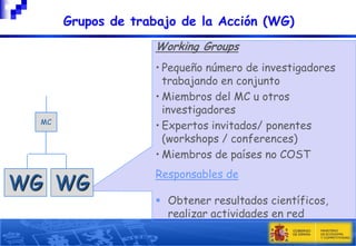 Grupos de trabajo de la Acción (WG)
Working Groups

MC

WG WG

• Pequeño número de investigadores
trabajando en conjunto
• Miembros del MC u otros
investigadores
• Expertos invitados/ ponentes
(workshops / conferences)
• Miembros de países no COST
Responsables de
 Obtener resultados científicos,
realizar actividades en red

 