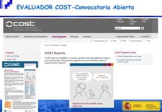 EVALUADOR COST-Convocatoria Abierta

 