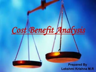 Cost Benefit Analysis


                  Prepared By
              Lekshmi Krishna M.R
 