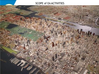 SCOPE of EA ACTIVITIES
 