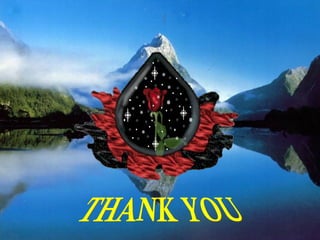 Cost effectiveness and cost efficiency