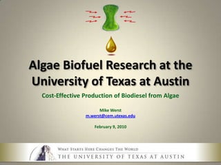 Algae Biofuel Research at the University of Texas at Austin Cost-Effective Production of Biodiesel from Algae Mike Werst m.werst@cem.utexas.edu February 9, 2010 