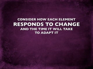 Cost Effective Web Development Techniques