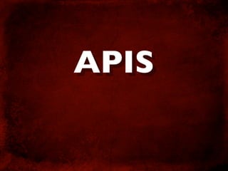 Cost Effective Web Development Techniques