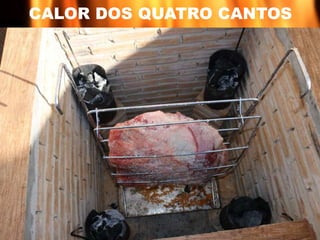 CALOR DOS QUATRO CANTOS 
 
