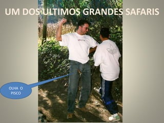 UM DOS ULTIMOS GRANDES SAFARIS
OLHA O
PISCO
 