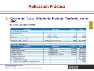 Aplicación Práctica Calculo del Costo Unitario de Producto Terminado con el ABC: 4.3. Costo Unitario de la Piña: 