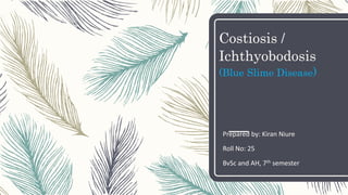 Costiosis /
Ichthyobodosis
(Blue Slime Disease)
Prepared by: Kiran Niure
Roll No: 25
BvSc and AH, 7th semester
 