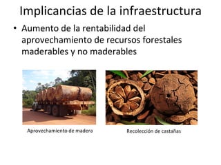 Implicancias	
  de	
  la	
  infraestructura	
  
•  Aumento	
  de	
  la	
  rentabilidad	
  del	
  
aprovechamiento	
  de	
  recursos	
  forestales	
  
maderables	
  y	
  no	
  maderables	
  
Aprovechamiento	
  de	
  madera	
   Recolección	
  de	
  castañas	
  
 