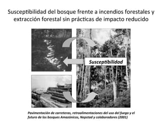 SuscepDbilidad	
  del	
  bosque	
  frente	
  a	
  incendios	
  forestales	
  y	
  
extracción	
  forestal	
  sin	
  prácDcas	
  de	
  impacto	
  reducido	
  
SuscepSbilidad	
  
Pavimentación	
  de	
  carreteras,	
  retroalimentaciones	
  del	
  uso	
  del	
  fuego	
  y	
  el	
  
futuro	
  de	
  los	
  bosques	
  Amazónicos,	
  Nepstad	
  y	
  colaboradores	
  (2001)	
  
 