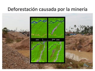 Deforestación	
  causada	
  por	
  la	
  minería	
  
 