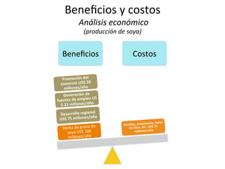 Beneﬁcios	
   Costos	
  
Venta	
  de	
  grano	
  de	
  
soya	
  US$	
  100	
  
millones/año	
  
Desarrollo	
  regional	
  
US$	
  75	
  millones/año	
  	
  
Generación	
  de	
  
fuentes	
  de	
  empleo	
  US
$	
  25	
  millones/año	
  	
  
Promoción	
  del	
  
comercio	
  US$	
  20	
  
millones/año	
  
Semillas,	
  maquinaria,	
  mano	
  
de	
  obra,	
  etc.	
  US$	
  55	
  
millones/año	
  
Beneﬁcios	
  y	
  costos	
  
	
  Análisis	
  económico	
  	
  
(producción	
  de	
  soya)	
  
 