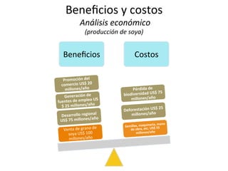Beneﬁcios	
   Costos	
  
Venta	
  de	
  grano	
  de	
  
soya	
  US$	
  100	
  
millones/año	
  
Desarrollo	
  regional	
  
US$	
  75	
  millones/año	
  	
  
Generación	
  de	
  
fuentes	
  de	
  empleo	
  US
$	
  25	
  millones/año	
  	
  
Promoción	
  del	
  
comercio	
  US$	
  20	
  
millones/año	
  
Semillas,	
  maquinaria,	
  mano	
  
de	
  obra,	
  etc.	
  US$	
  55	
  
millones/año	
  
Beneﬁcios	
  y	
  costos	
  
	
  Análisis	
  económico	
  	
  
(producción	
  de	
  soya)	
  
Deforestación	
  US$	
  25	
  
millones/año	
  	
  
Pérdida	
  de	
  
biodiversidad	
  US$	
  75	
  
millones/año	
  
 