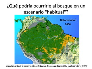 ¿Qué	
  podría	
  ocurrirle	
  al	
  bosque	
  en	
  un	
  
escenario	
  "habitual"?	
  	
  
Modelamiento	
  de	
  la	
  conservación	
  en	
  la	
  Cuenca	
  Amazónica,	
  Soares-­‐Filho	
  y	
  colaboradores	
  (2006)	
  
 
