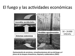 El	
  fuego	
  y	
  las	
  acDvidades	
  económicas	
  
Incendios	
  accidentales	
  
Sistemas	
  extensivos	
  
Perdidas	
  agroforestales	
   50	
  –	
  24.800	
  
US$/año	
  
Pavimentación	
  de	
  carreteras,	
  retroalimentaciones	
  del	
  uso	
  del	
  fuego	
  y	
  el	
  
futuro	
  de	
  los	
  bosques	
  Amazónicos,	
  Nepstad	
  y	
  colaboradores	
  (2001)	
  
 