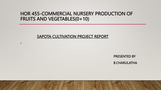 HOR 455-COMMERCIAL NURSERY PRODUCTION OF
FRUITS AND VEGETABLES(0+10)
SAPOTA CULTIVATION PROJECT REPORT
•
PRESENTED BY
B.CHARULATHA
 