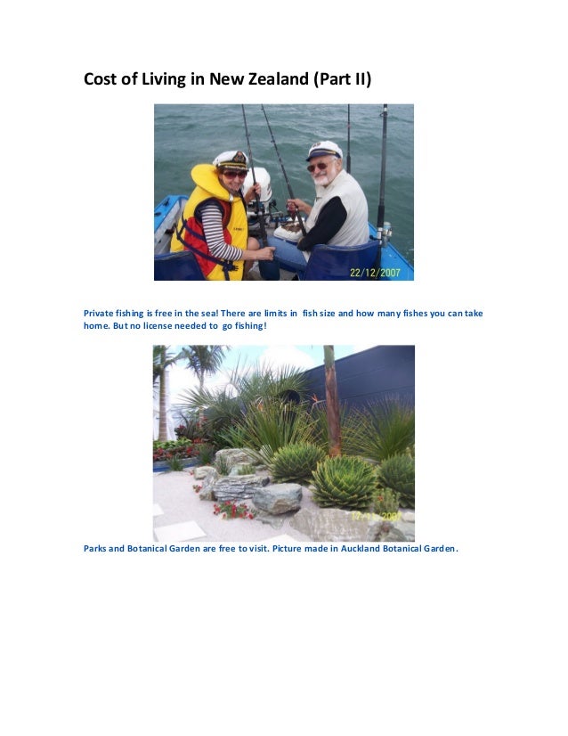 Cost of living in new zealand (Part II)