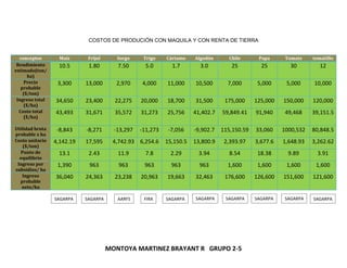 MONTOYA MARTINEZ BRAYANT R GRUPO 2-5
COSTOS DE PRODUCIÓN CON MAQUILA Y CON RENTA DE TIERRA
conceptos Maíz Frijol Sorgo Trigo Cártamo Algodón Chile Papa Tomate tomatillo
Rendimiento
estimado(ton/
ha)
10.5 1.80 7.50 5.0 1.7 3.0 25 25 30 12
Precio
probable
($/ton)
3,300 13,000 2,970 4,000 11,000 10,500 7,000 5,000 5,000 10,000
Ingreso total
($/ha)
34,650 23,400 22,275 20,000 18,700 31,500 175,000 125,000 150,000 120,000
Costo total
($/ha)
43,493 31,671 35,572 31,273 25,756 41,402.7 59,849.41 91,940 49,468 39,151.5
Utilidad bruta
probable x ha
-8,843 -8,271 -13,297 -11,273 -7,056 -9,902.7 115,150.59 33,060 1000,532 80,848.5
Costo unitario
($/ton)
4,142.19 17,595 4,742.93 6,254.6 15,150.5 13,800.9 2,393.97 3,677.6 1,648.93 3,262.62
Punto de
equilibrio
13.1 2.43 11.9 7.8 2.29 3.94 8.54 18.38 9.89 3.91
Ingreso por
subsidios/ ha
1,390 963 963 963 963 963 1,600 1,600 1,600 1,600
Ingreso
probable
neto/ha
36,040 24,363 23,238 20,963 19,663 32,463 176,600 126,600 151,600 121,600
SAGARPA SAGARPA AARFS FIRA SAGARPASAGARPASAGARPASAGARPASAGARPA SAGARPA
 