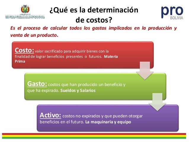 Elaboracion de Costos y Determinacion del punto de