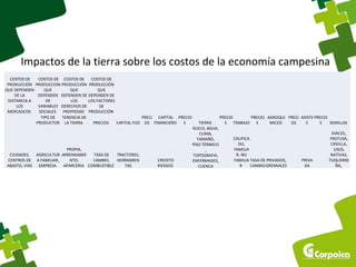 Impactos de la tierra sobre los costos de la economía campesina 
COSTOS DE 
PRODUCCIÓN 
QUE DEPENDEN 
DE LA 
DISTANCIA A 
LOS 
MERCADCOS 
COSTOS DE 
PRODUCCION 
QUE 
DEPENDEN 
DE 
VARIABLES 
SOCIALES 
COSTOS DE 
PRODUCCIÓN 
QUE 
DEPENDEN DE 
LOS 
DERECHOS DE 
PROPIEDAD 
COSTOS DE 
PRODUCCIÓN 
QUE 
DEPENDEN DE 
LOS FACTORES 
DE 
PRODUCCIÓN 
TIPO DE 
PRODUCTOR 
TENENCIA DE 
LA TIERRA PRECIOS CAPITAL FIJO 
PRECI 
OS 
CAPITAL 
FINANCIERO 
PRECIO 
S TIERRA 
PRECIO 
S TRABAJO 
PRECIO 
S 
AGROQUI 
MICOS 
PRECI 
OS 
ASISTE 
C 
PRECIO 
S SEMILLAS 
CIUDADES, 
CENTROS DE 
ABASTO, VIAS 
AGRICULTUR 
A FAMILIAR, 
EMPRESA 
PROPIA, 
ARRENDAMIE 
NTO, 
APARCERIA 
TASA DE 
CAMBIO, 
COMBUSTIBLE 
TRACTORES, 
HERRAMIEN 
TAS 
CREDITO 
RIESGOS 
SUELO, AGUA, 
CLIMA, 
TAMAÑO, 
PISO TÉRMICO 
, 
TOPOGRAFIA, 
ENFERMADES, 
CUENCA 
CALIFICA 
DO, 
FAMILIA 
R, NO 
FAMILIA 
R 
TASA DE 
CAMBIO 
PRIVADOS, 
GREMIALES 
PRIVA 
DA 
DIACOL, 
PASTUSA, 
CRIOLLA, 
USOS, 
NATIVAS, 
TUQUERRE 
ÑA, 
 