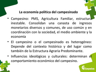La economía política del campesinado 
• Campesino: PMS, Agricultura Familiar, estructura 
inestable. Consolidan una canasta de ingresos 
monetarios diversos y comunes, de uso común y en 
coordinación con la sociedad, el medio ambiente y la 
economía 
• El campesino o el campesinado es heterogéneo: 
Depende del contexto histórico y del lugar como 
también de la Estructura Agraria Predominante. 
• Influencias ideológicas y culturales: determinan el 
comportamiento económico del campesino. 
 