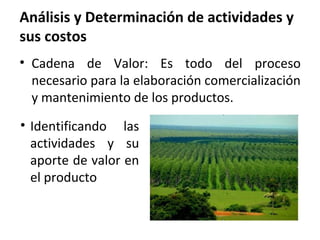 Análisis y Determinación de actividades y
sus costos
• Cadena de Valor: Es todo del proceso
necesario para la elaboración comercialización
y mantenimiento de los productos.
• Identificando las
actividades y su
aporte de valor en
el producto
 