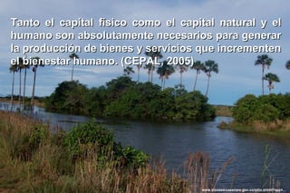 Tanto el capital físico como el capital natural y el
humano son absolutamente necesarios para generar
la producción de bienes y servicios que incrementen
el bienestar humano. (CEPAL, 2005)




                                    www.trinidad-casanare.gov.co/sitio.shtml?apc=...
 